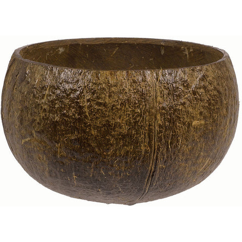 Authentic Coconut Cup