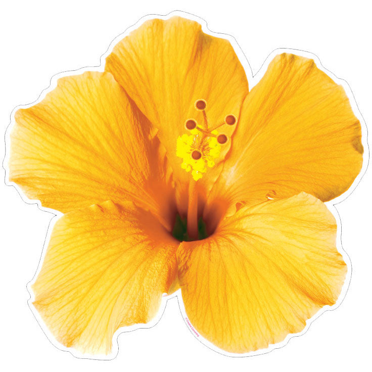 Tropical Flower Assorted Cutout