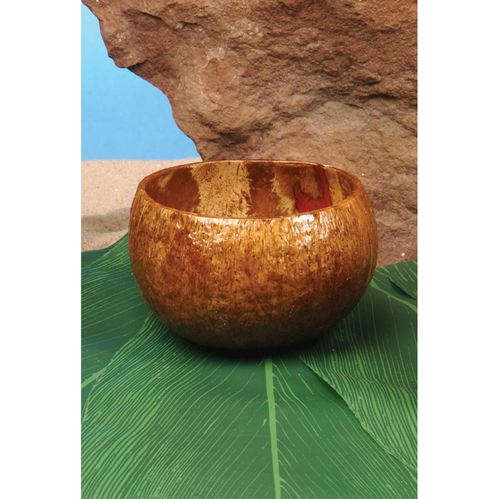 Cup - Coconut Cup